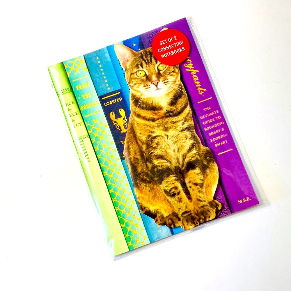 Rainbow Tabby Cat Notebook Set by Galison New
